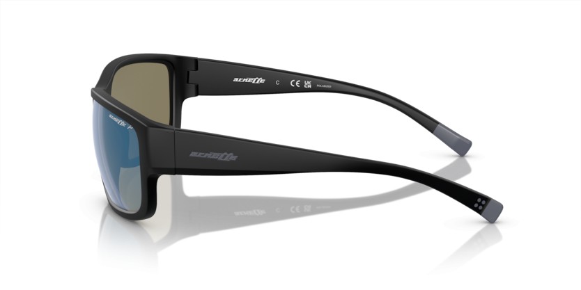 ARNETTE BUSHWICK AN4256 01/22 Polarizadas - ARNETTE BUSHWICK AN4256 01/22 Polarizadas - gafas de sol