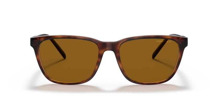 ARNETTE CORTEX AN4291 277083 Polarizadas - ARNETTE CORTEX AN4291 277083 Polarizadas - gafas de sol