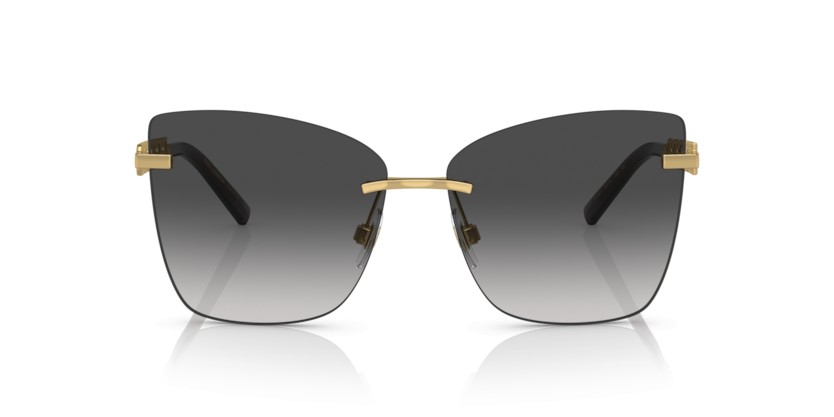 DOLCE & GABBANA DG2289 02/8G - DOLCE & GABBANA DG2289 02/8G - gafas de sol