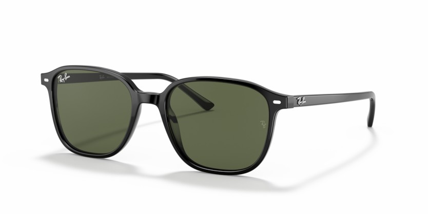 RAY-BAN LEONARD RB2193 901/31 - RAY-BAN LEONARD RB2193 901/31 - gafas de sol