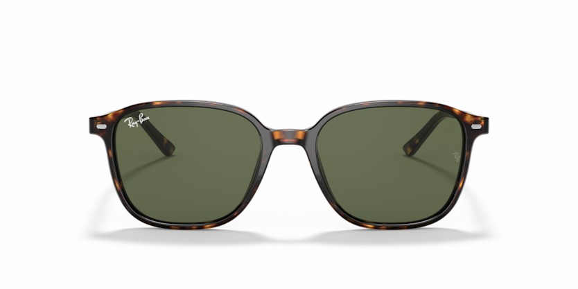 RAY-BAN LEONARD RB2193 902/31 - RAY-BAN LEONARD RB2193 902/31 - gafas de sol