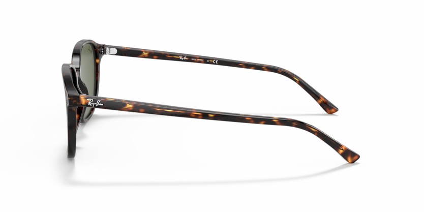 RAY-BAN LEONARD RB2193 902/31 - RAY-BAN LEONARD RB2193 902/31 - gafas de sol