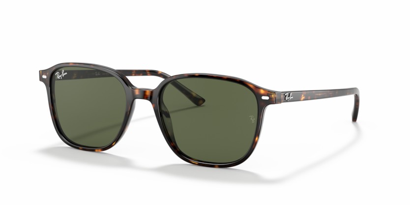 RAY-BAN LEONARD RB2193 902/31 - RAY-BAN LEONARD RB2193 902/31 - gafas de sol