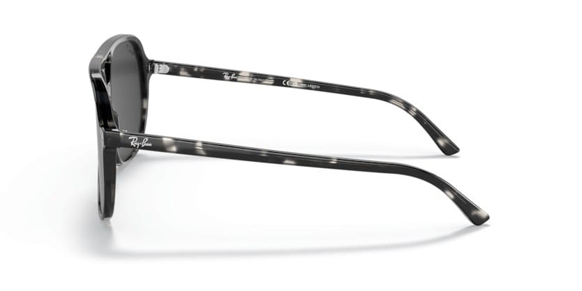 RAY-BAN BILL RB2198 133348 Polarizadas - RAY-BAN BILL RB2198 133348 Polarizadas - gafas de sol