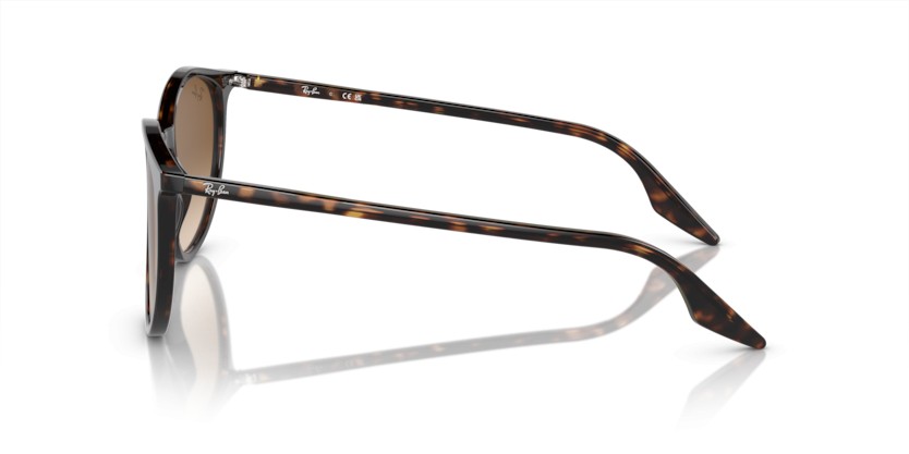 RAY-BAN RB2204 902/51 - RAY-BAN RB2204 902/51 - gafas de sol