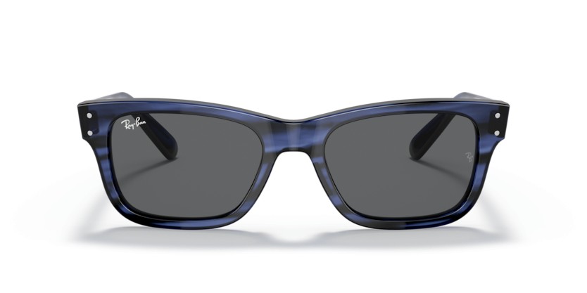 RAY-BAN MR BURBANK RB2283 1339B1 - RAY-BAN MR BURBANK RB2283 1339B1 - gafas de sol