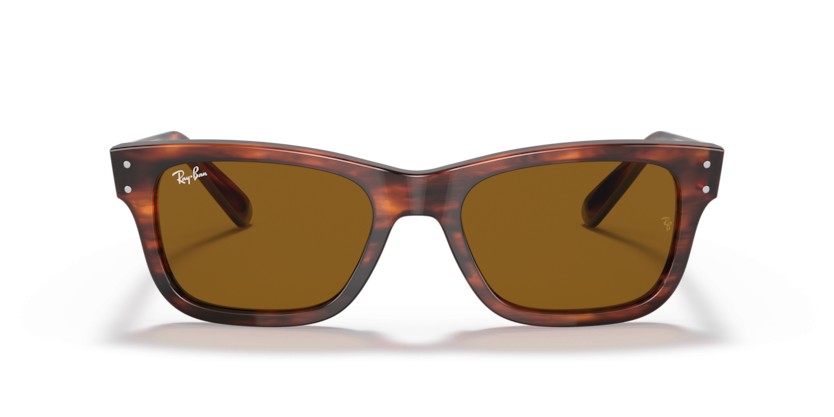 RAY-BAN MR BURBANK RB2283 954/33 - RAY-BAN MR BURBANK RB2283 954/33 - gafas de sol