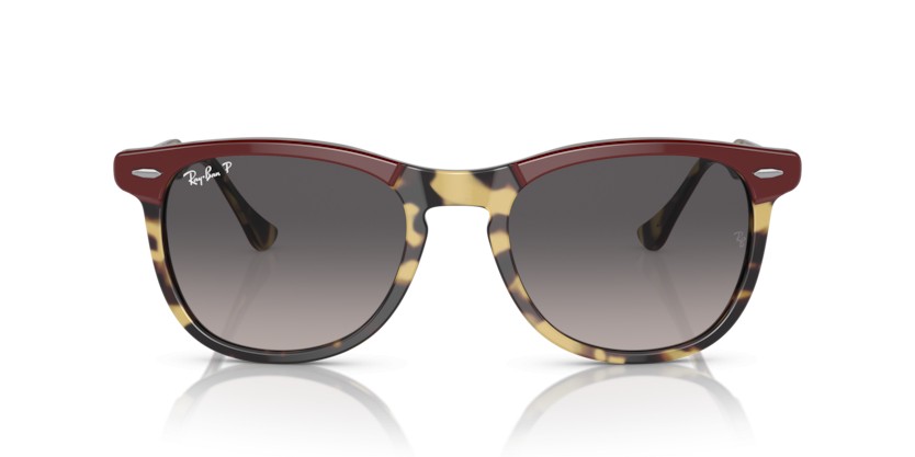 RAY-BAN EAGLEEYE RB2398 1377M3 Polarizadas - RAY-BAN EAGLEEYE RB2398 1377M3 Polarizadas - gafas de sol