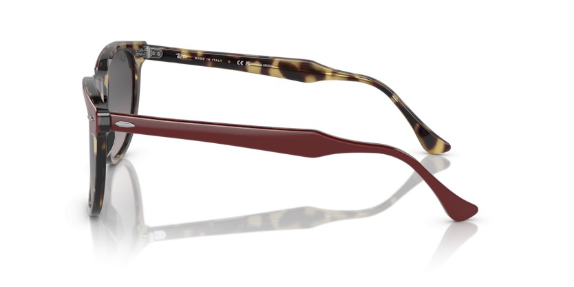 RAY-BAN EAGLEEYE RB2398 1377M3 Polarizadas - RAY-BAN EAGLEEYE RB2398 1377M3 Polarizadas - gafas de sol