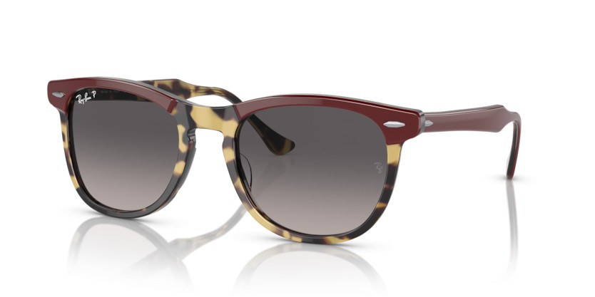 RAY-BAN EAGLEEYE RB2398 1377M3 Polarizadas - RAY-BAN EAGLEEYE RB2398 1377M3 Polarizadas - gafas de sol