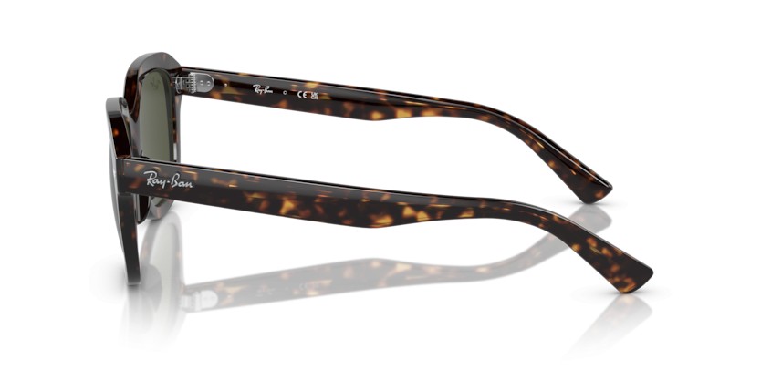 RAY-BAN ERIK RB4398 902/31 - RAY-BAN ERIK RB4398 902/31 - gafas de sol