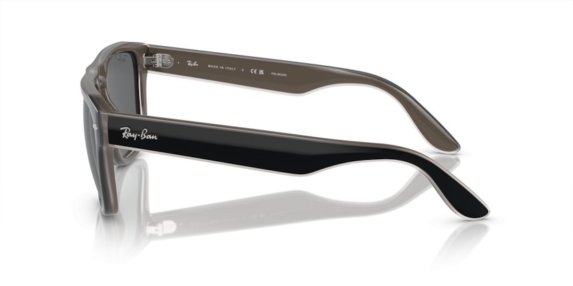 RAY-BAN RB4407 673381 Polarizadas - RAY-BAN RB4407 673381 Polarizadas - gafas de sol