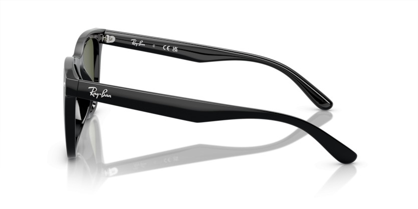RAY-BAN RB4420 601/9A Polarizadas - RAY-BAN RB4420 601/9A Polarizadas - gafas de sol
