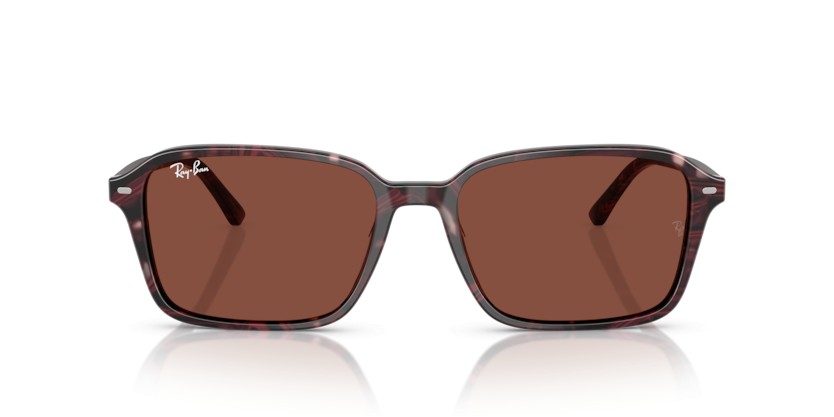 RAY-BAN RAIMOND RB2231 1416C5 - RAY-BAN RAIMOND RB2231 1416C5 - gafas de sol