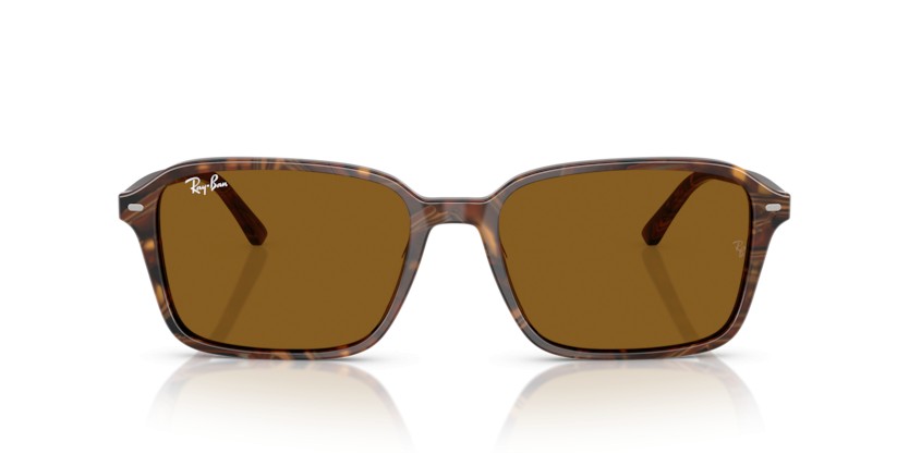 RAY-BAN RAIMOND RB2231 141833 - RAY-BAN RAIMOND RB2231 141833 - gafas de sol