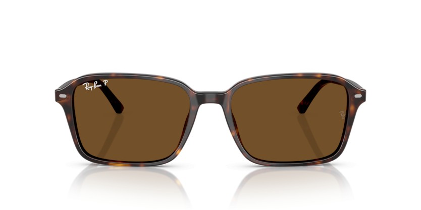 RAY-BAN RAIMOND RB2231 902/57 Polarizadas - RAY-BAN RAIMOND RB2231 902/57 Polarizadas - gafas de sol