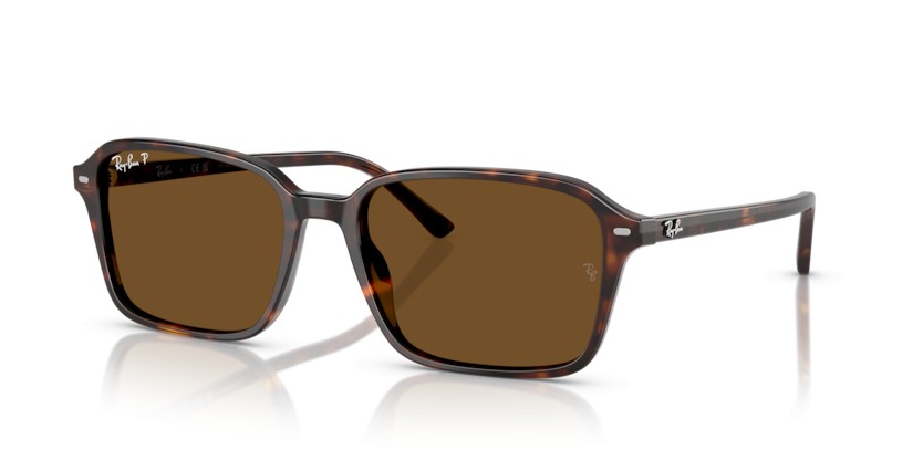 RAY-BAN RAIMOND RB2231 902/57 Polarizadas - RAY-BAN RAIMOND RB2231 902/57 Polarizadas - gafas de sol