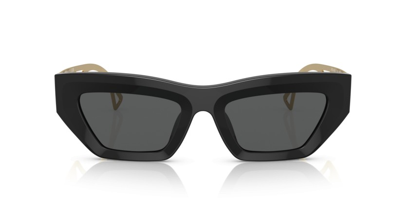 VERSACE VE4432U GB1/87 - VERSACE VE4432U GB1/87 - gafas de sol