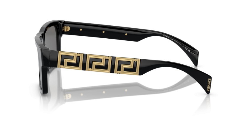 VERSACE VE4445 GB1/81 Polarizadas - VERSACE VE4445 GB1/81 Polarizadas - gafas de sol