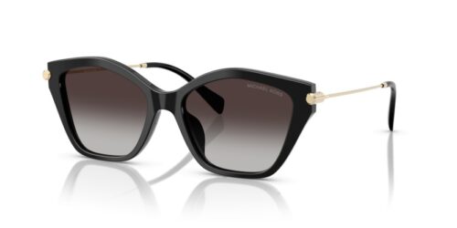 MICHAEL KORS CATSKILLS MK2246U 30058G - gafas de sol