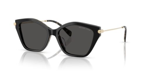 MICHAEL KORS CATSKILLS MK2246U 395087 - gafas de sol