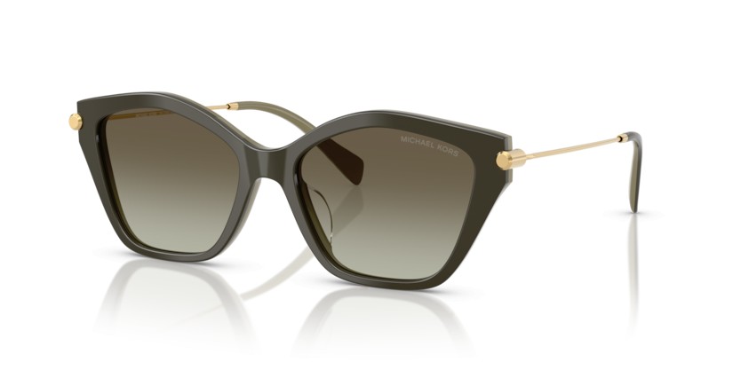 MICHAEL KORS CATSKILLS MK2246U 40193M - MICHAEL KORS CATSKILLS MK2246U 40193M - gafas de sol