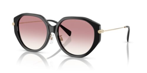 MICHAEL KORS JINAN MK2248D 30058D - gafas de sol
