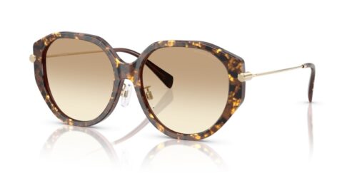 MICHAEL KORS JINAN MK2248D 401613 - gafas de sol