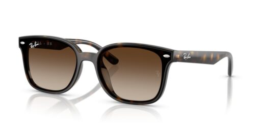 RAY-BAN RB4461D 710/13 - gafas de sol