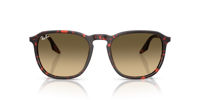 RAY-BAN RB2203 14290A - RAY-BAN RB2203 14290A - gafas de sol