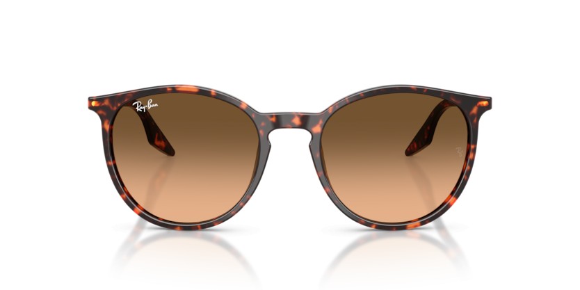 RAY-BAN RB2204 14293B - RAY-BAN RB2204 14293B - gafas de sol