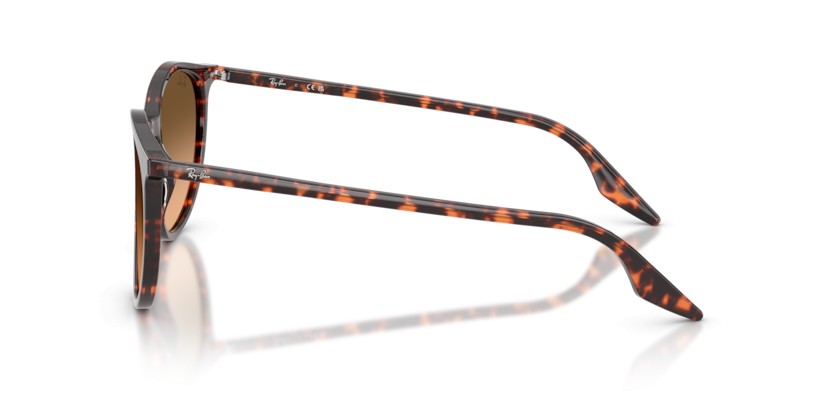 RAY-BAN RB2204 14293B - RAY-BAN RB2204 14293B - gafas de sol