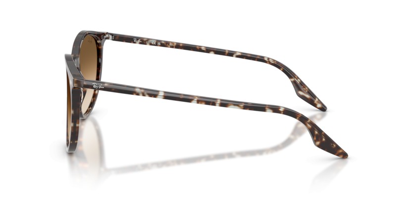 RAY-BAN RB2204 143151 - RAY-BAN RB2204 143151 - gafas de sol