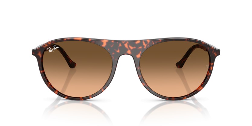 RAY-BAN RB2215 14293B - RAY-BAN RB2215 14293B - gafas de sol