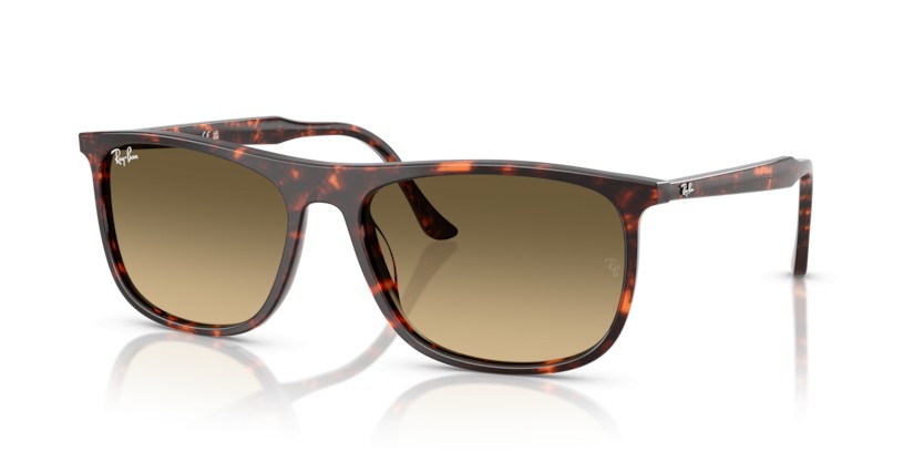 RAY-BAN RB2216 14290A - RAY-BAN RB2216 14290A - gafas de sol