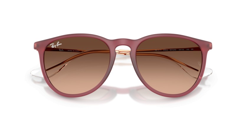RAY-BAN ERIKA RB4171 6815A5 - RAY-BAN ERIKA RB4171 6815A5 - gafas de sol