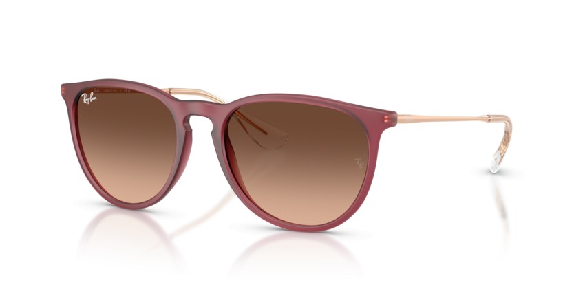 RAY-BAN ERIKA RB4171 6815A5 - RAY-BAN ERIKA RB4171 6815A5 - gafas de sol