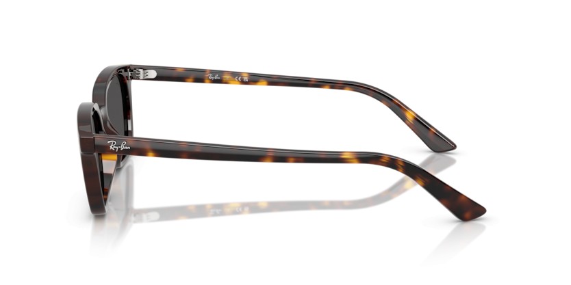 RAY-BAN ZAYA RB4456 135987 - RAY-BAN ZAYA RB4456 135987 - gafas de sol