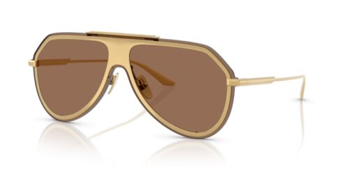 DOLCE & GABBANA DG2309 02/73 - 0DG2309 02 73 P21 shad qt DOLCE & GABBANA DG2309 02/73 - gafas de sol