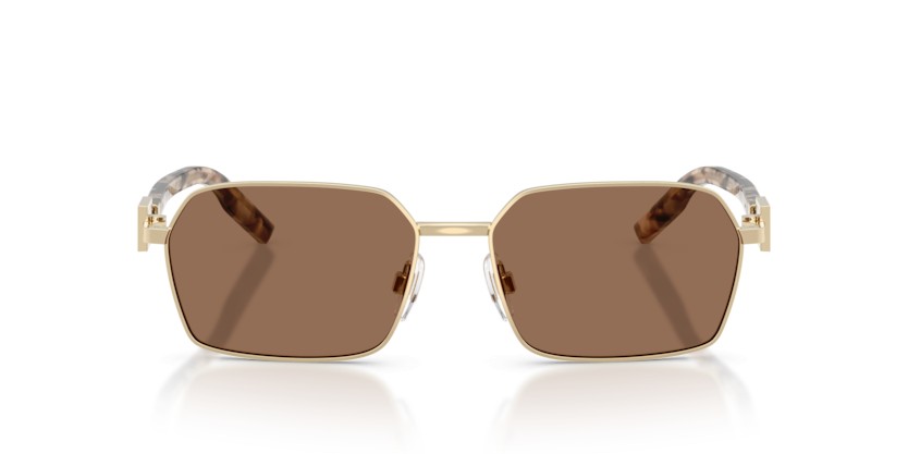 DOLCE & GABBANA DG2316 488/73 - DOLCE & GABBANA DG2316 488/73 - gafas de sol