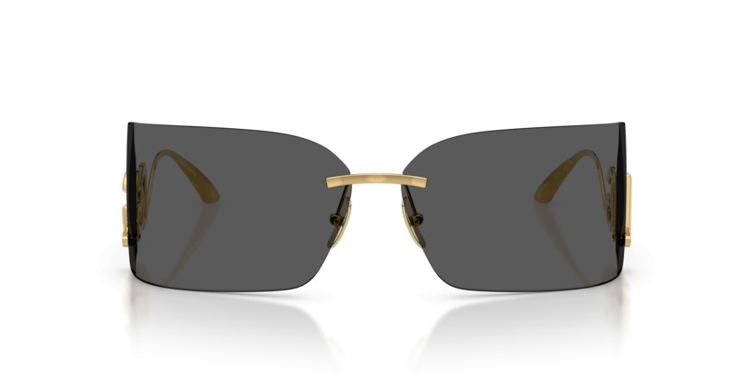 DOLCE & GABBANA DG2319 02/87 - DOLCE & GABBANA DG2319 02/87 - gafas de sol