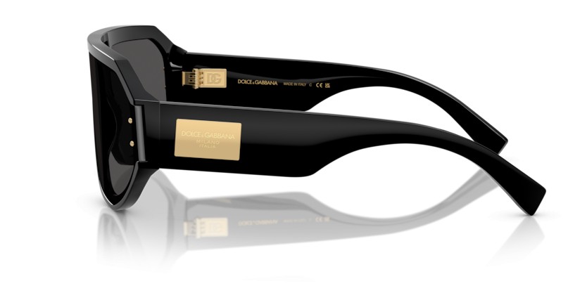 DOLCE & GABBANA DG4481 501/87 - DOLCE & GABBANA DG4481 501/87 - gafas de sol