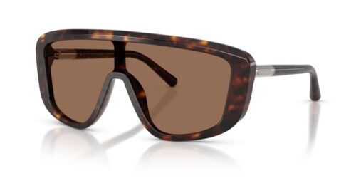 DOLCE & GABBANA DG4520 502/73 - 0DG4520 502 73 P21 shad qt DOLCE & GABBANA DG4520 502/73 - gafas de sol