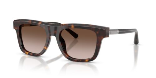 DOLCE & GABBANA DG4521 502/13 - 0DG4521 502 13 P21 shad qt DOLCE & GABBANA DG4521 502/13 - gafas de sol