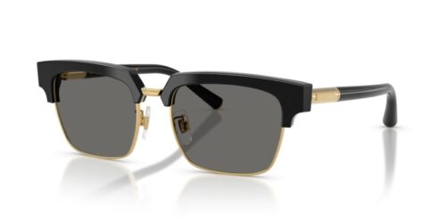 DOLCE & GABBANA DG4522 501/1 - 0DG4522 501 1 P21 shad qt DOLCE & GABBANA DG4522 501/1 - gafas de sol