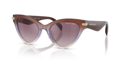MICHAEL KORS ROANOKE MK2259U 40366X - gafas de sol