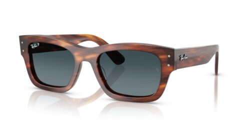 RAY-BAN JOSEPH RB7683S 954/S3 Polarizadas - gafas de sol