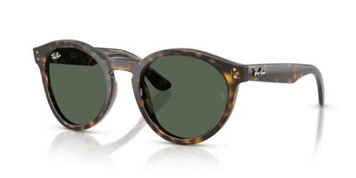 RAY-BAN RBR0505S 6790VR - gafas de sol