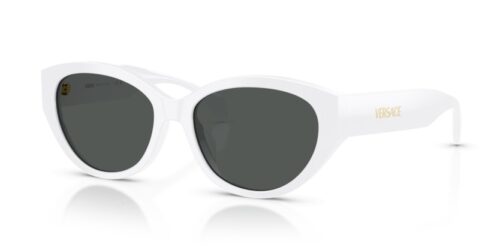 VERSACE VE4495D 314/87 - 0VE4495D 314 87 P21 shad qt VERSACE VE4495D 314/87 - gafas de sol